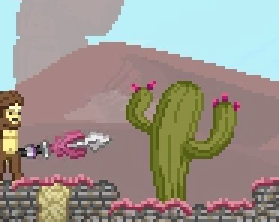 scared cactus