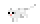 whitecat.gif